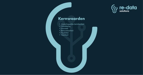 Kernwaarden Re-data Solutions